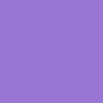  Lilac Bush color #9874D3